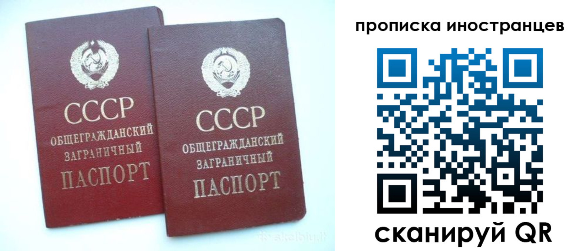 прописка 2025 в Электростали